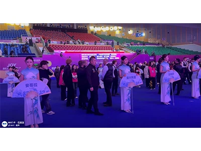 🎉 Á bak við tjöldin: Lognið á undan storminum!